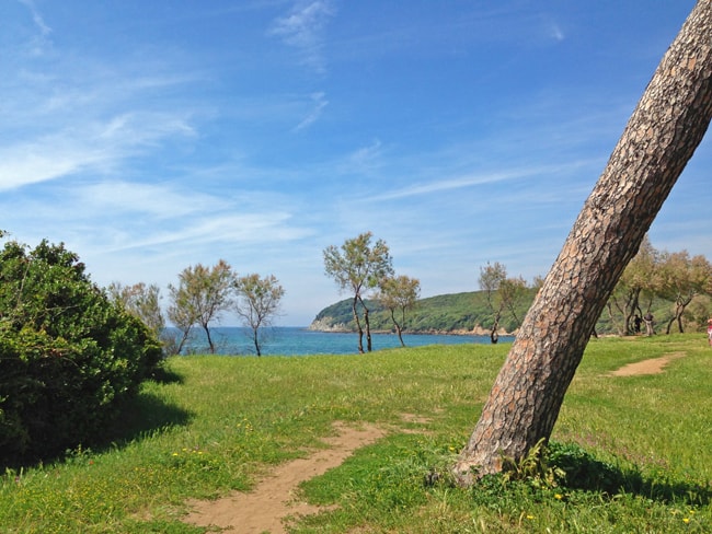 Il verde lambisce la spiaggia del Golfo di Baratti