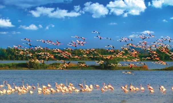 Parco Naturale del Delta del Po