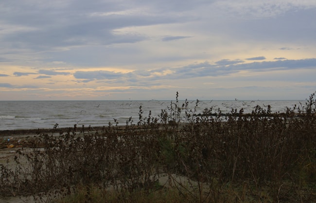 Il Mare Adriatico