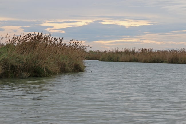 Il Delta del Po e la romantica isola dell'amore