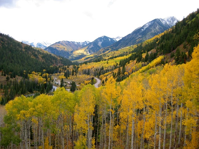 Fall Foliage in Colorado, con le 5 strade panoramiche. West Elk Loop -  Foto di Dave Roberts 