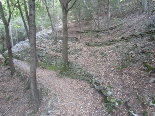 sentieri nel parco della pietra serena