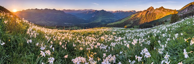 In Svizzera " la natura ti rivuole ", selvaggiamente.