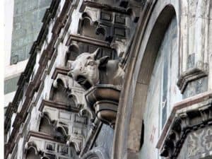 La testa di mucca sul cornicione del Duomo