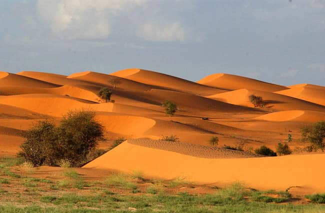 La sabbia dell'Africa offre tonalità di colore che Caprotti sfrutta per i suoi quadri materici