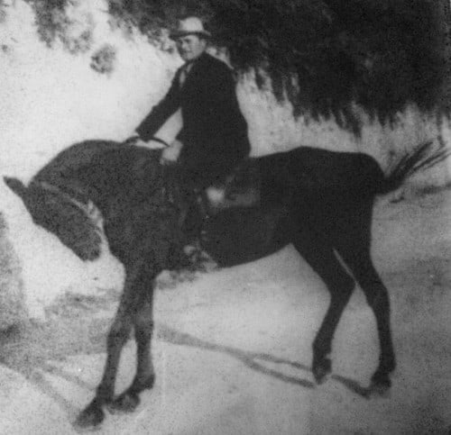 Il mitico nonno di Peio, con uno dei suoi cavalli