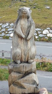 15 Scultura marmotta in legno