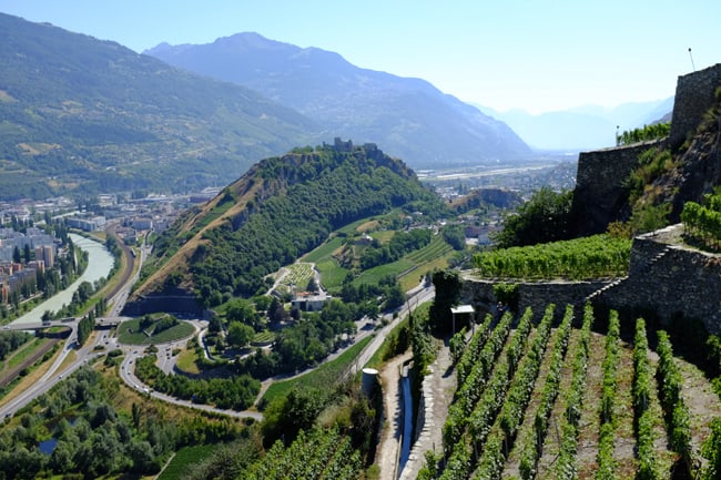 Vini del Vallese: l'oro segreto della Svizzera