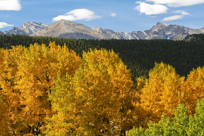 Fall Foliage in Colorado, con le 5 strade panoramiche. Aspens and evergreens in the Colorado Rockies