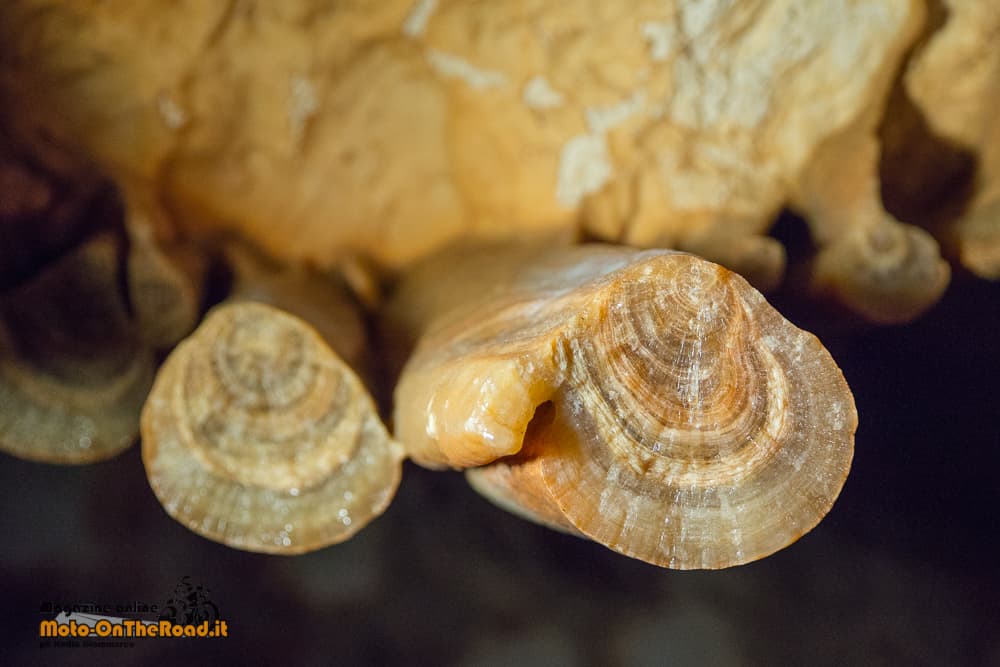 Grotte di Montevicoli - stalattite spezzata