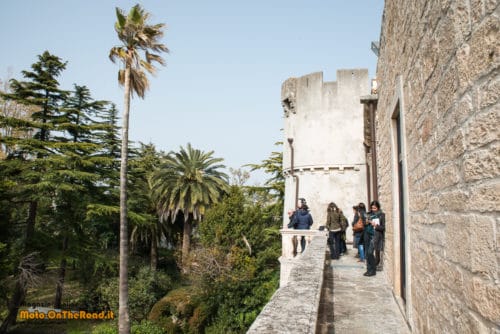 Castello di Ceglie Messapica - Torre circolare