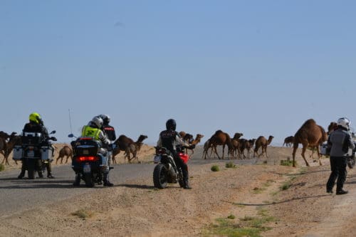 Tunisia in moto