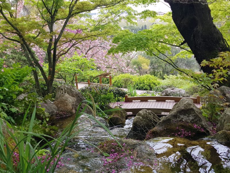 Giardino Giapponese Orto Botanico