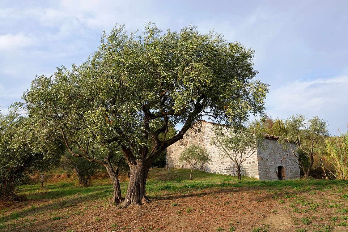 Molise in moto